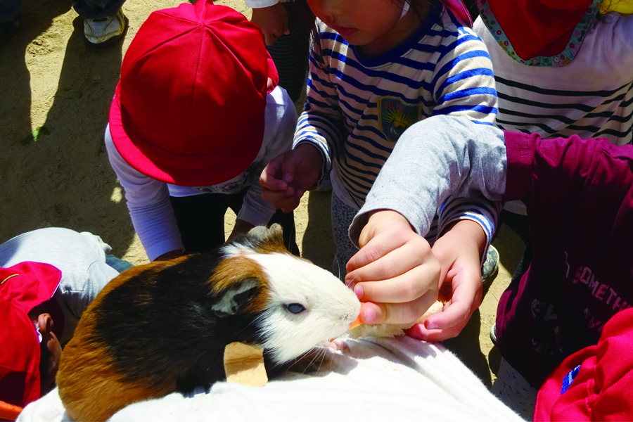 移動動物園1